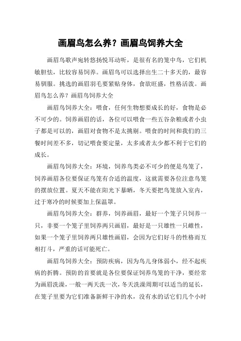 画眉鸟怎么养？画眉鸟饲养大全