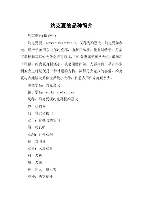 约克夏的品种简介