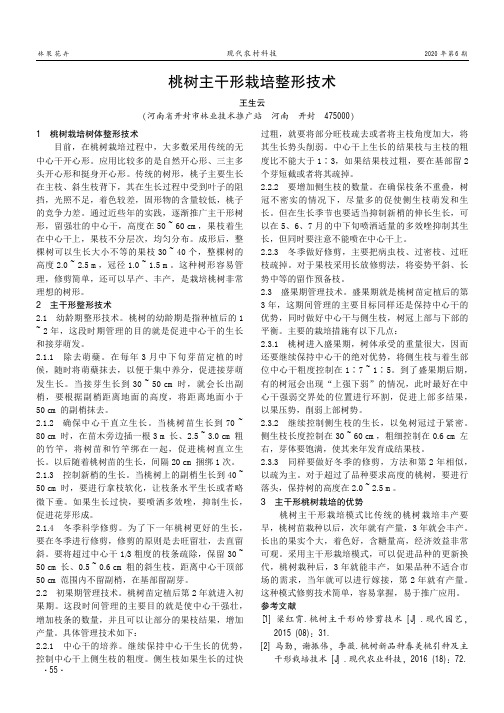 桃树主干形栽培整形技术