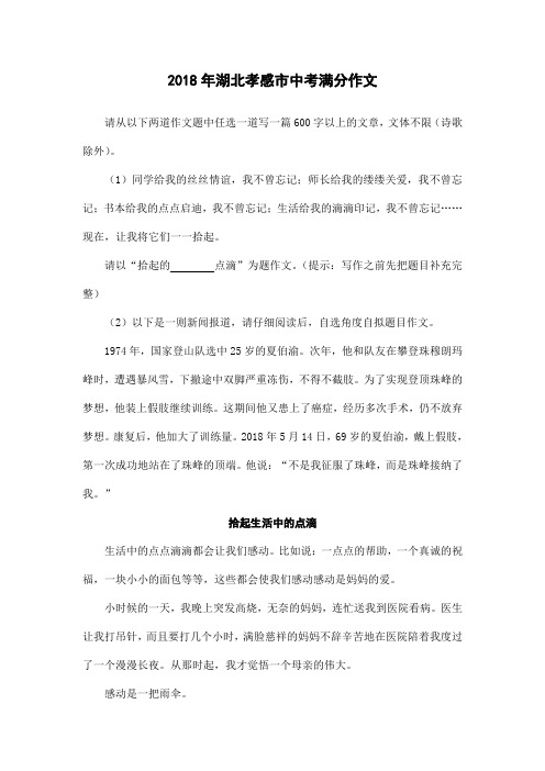 2018年湖北省孝感市中考满分作文：拾起生活中的点滴