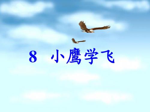 8《小鹰学飞》课件