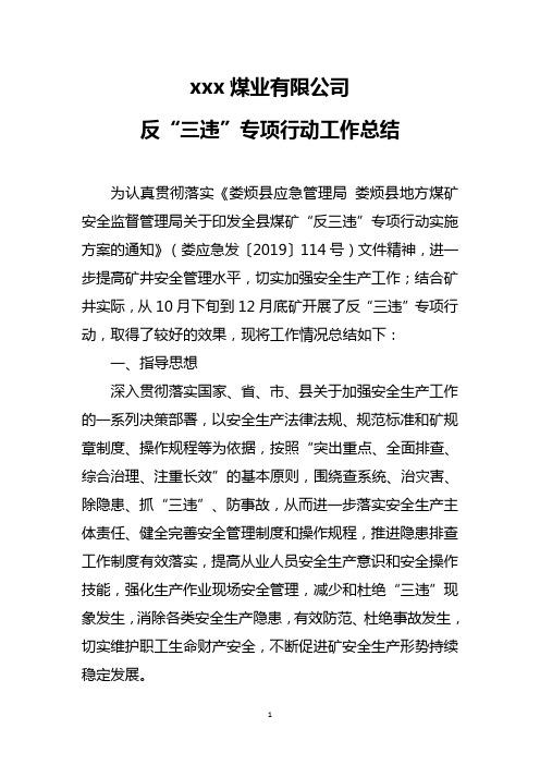 xxx煤业有限公司反“三违”专项行动总结