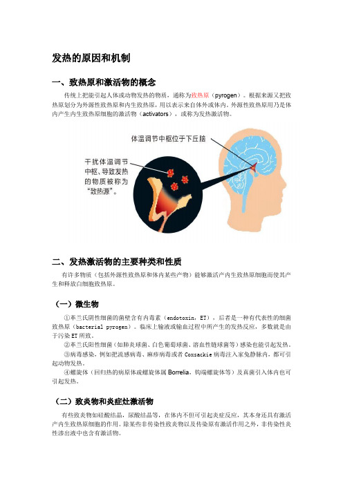 发热机制
