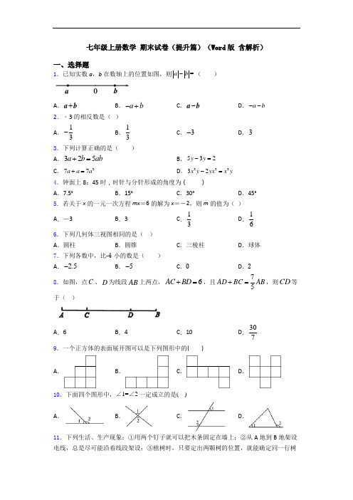 七年级上册数学 期末试卷(提升篇)(Word版 含解析)