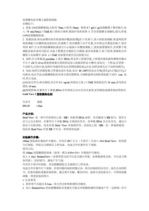 琼脂糖电泳步骤之超级基础篇