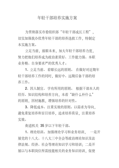 年轻干部培养实施方案