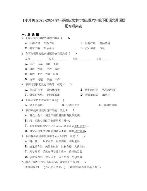 【小升初】2023-2024学年部编版北京市海淀区六年级下册语文词语搭配专项突破(含解析)