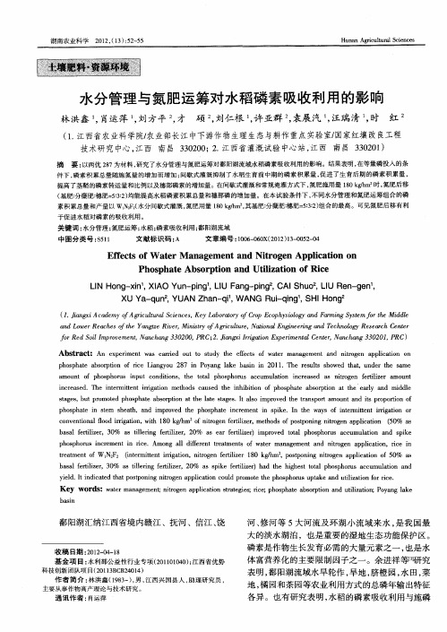 水分管理与氮肥运筹对水稻磷素吸收利用的影响