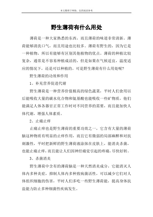 野生薄荷有什么用处