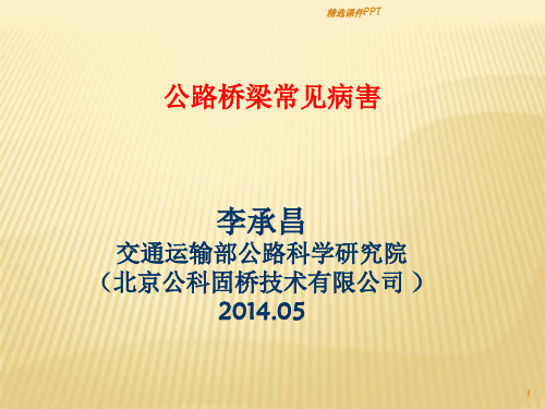 桥梁常见病害ppt课件