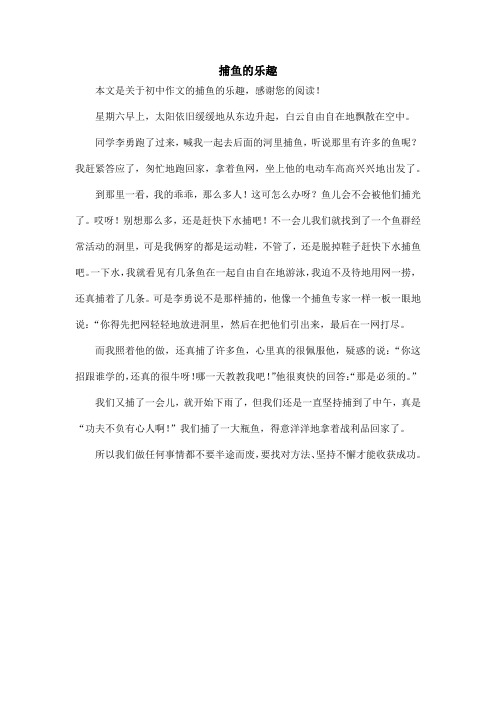 捕鱼的乐趣_初中作文