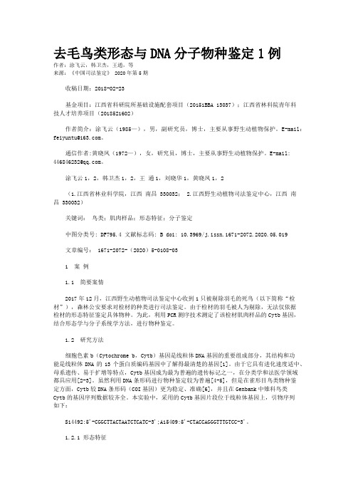 去毛鸟类形态与DNA分子物种鉴定1例