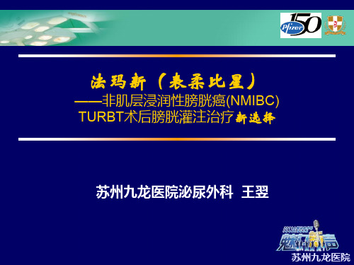 法玛新 膀胱癌术后灌注新选择 PPT课件