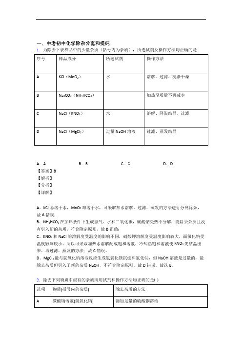 中考化学二轮 除杂分离和提纯 专项培优及答案