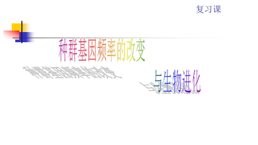 人教版必修2生物：7.2 现代生物进化理论的主要内容 课件(共25张PPT)