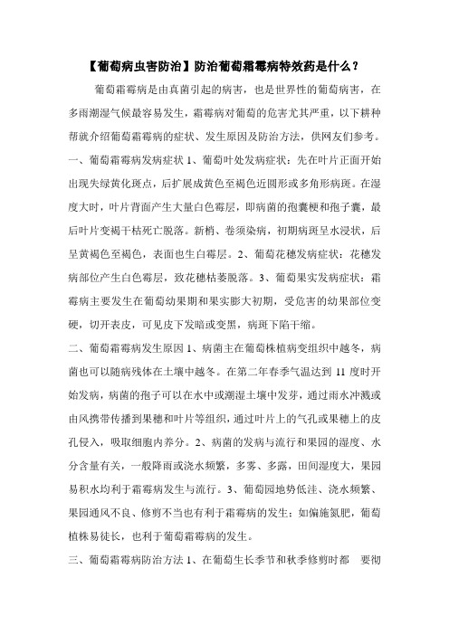 【葡萄病虫害防治】防治葡萄霜霉病特效药是什么？