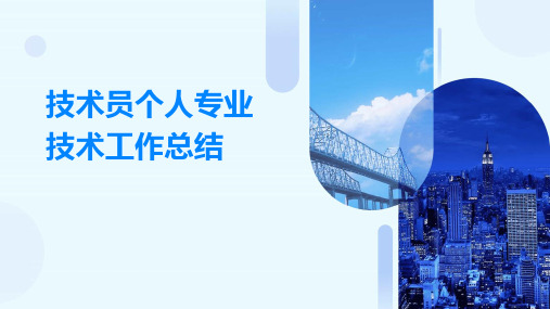 技术员个人专业技术工作总结PPT