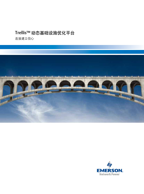 艾默生网络能源—Trellis动态基础设施优化平台