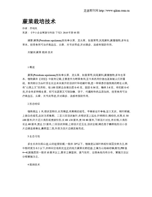 蕨菜栽培技术