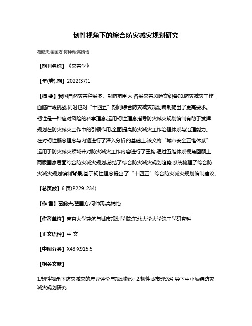 韧性视角下的综合防灾减灾规划研究