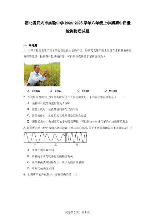 湖北省武穴市实验中学2024-2025学年八年级上学期期中质量检测物理试题