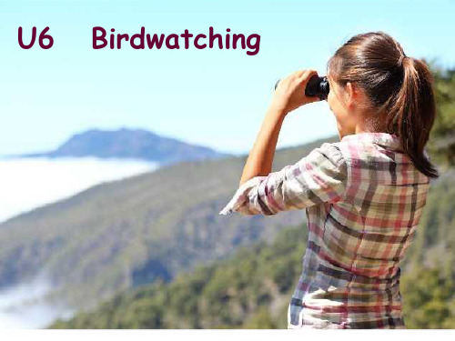 8A Unit6 Birdwatching课件(共35张)