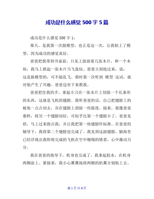 成功是什么感觉500字5篇