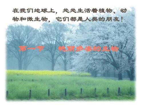 艳丽多姿的生物(共53张PPT)