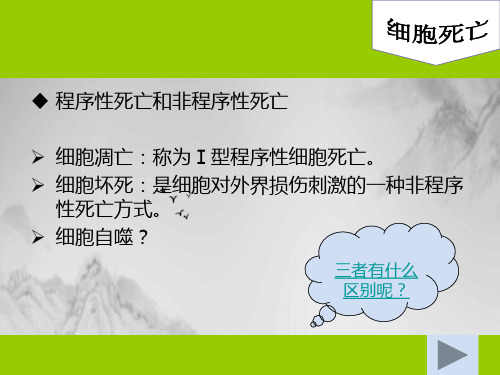 细胞自噬介绍与相关研究课件PPT