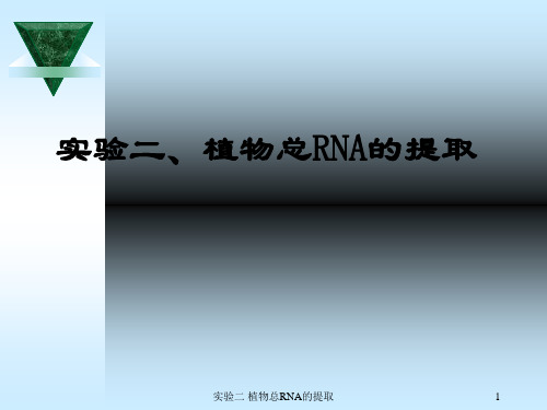 实验二 植物总RNA的提取 ppt课件