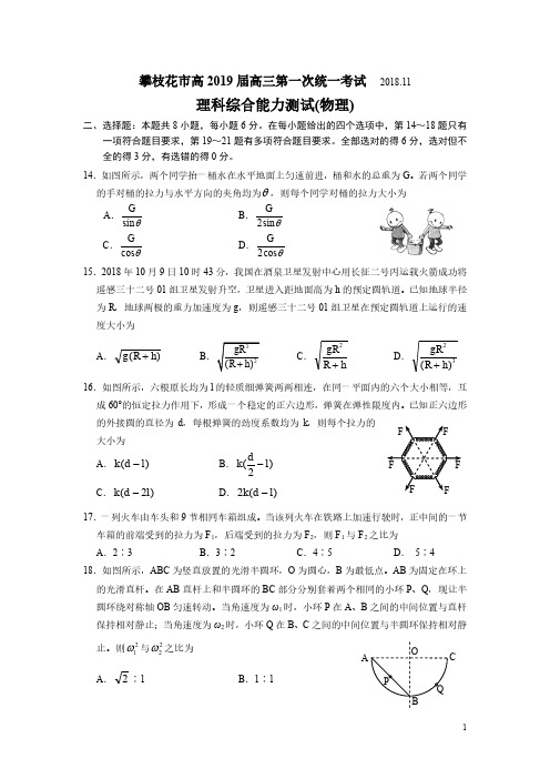 四川省攀枝花2019届高三第一次统考物理试题及答案