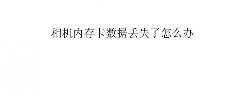 相机内存卡数据丢失了怎么办