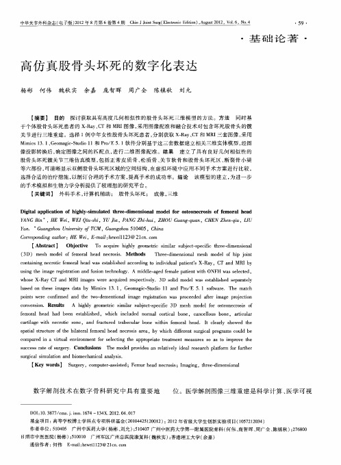 高仿真股骨头坏死的数字化表达