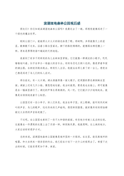 滨湖湿地森林公园观后感