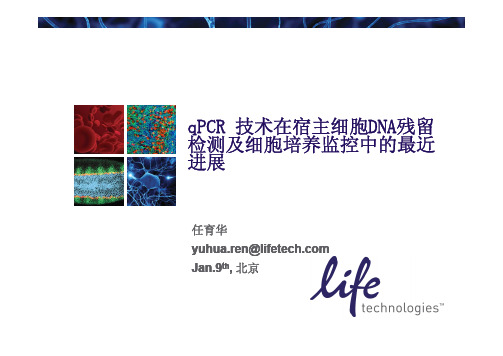 qPCR技术在宿主细胞DNA残留检测及细胞培养监控中的最近进展