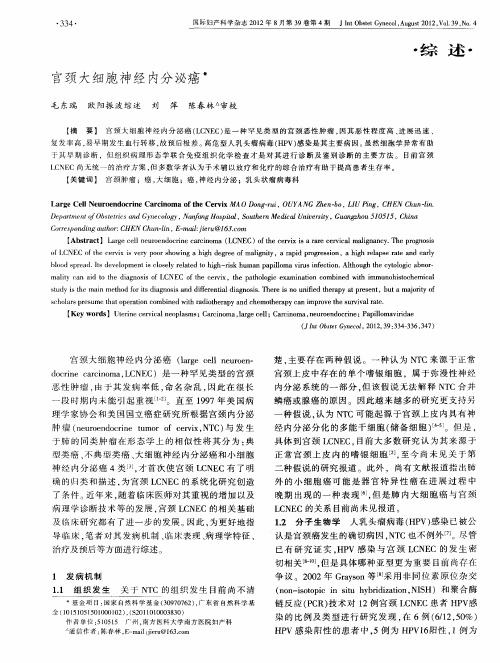宫颈大细胞神经内分泌癌