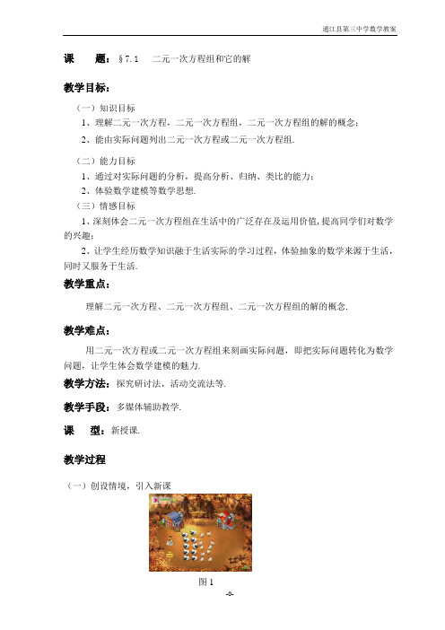 二元一次方程组和它的解试讲教案