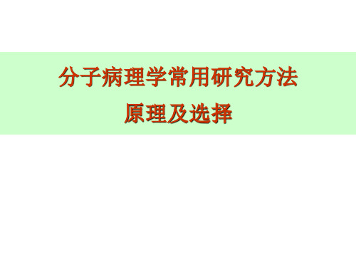 分子病理学常用研究技术原理及应用