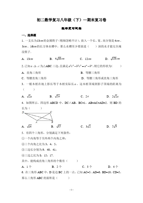 沪科版数学八年级下册 —期末复习刷题卷(含部分答案)