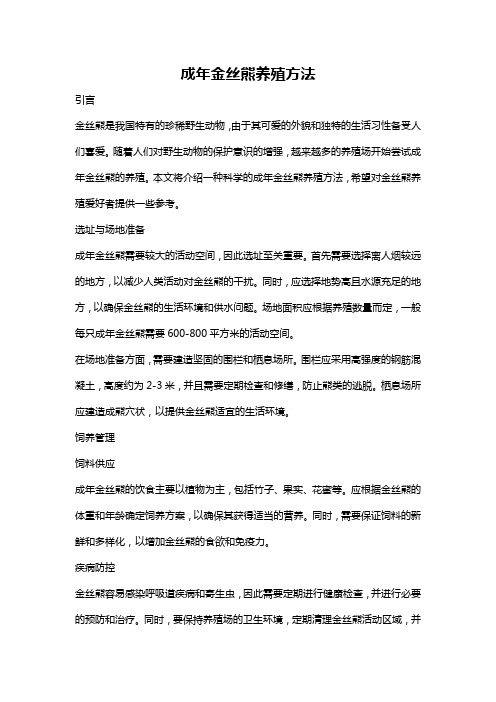 成年金丝熊养殖方法
