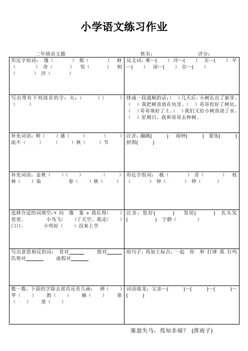 小学二年级语文精题选做VIII (74)