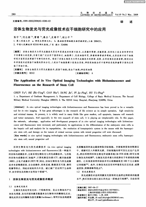 活体生物发光与荧光成像技术在干细胞研究中的应用