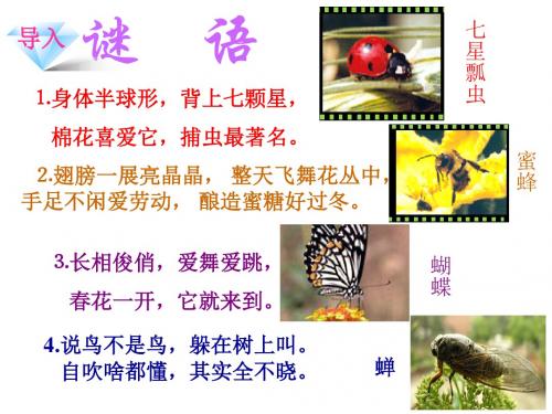 苏教版语文五上7金蝉脱壳