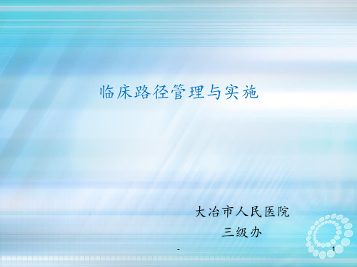 临床路径ppt课件