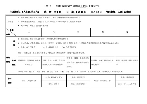 20162017学年第二学期第十四周工作计划