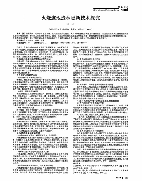 火烧迹地造林更新技术探究