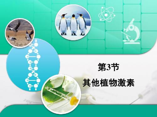 人教版高中生物必修3-3.3《其他植物激素》复习课件
