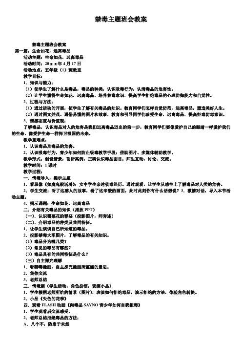 禁毒主题班会教案