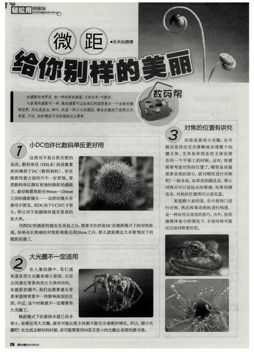 微距——给你别样的美丽