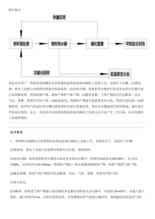 利用水热解法无害资源化处理高盐高COD化工危废工艺的制作流程